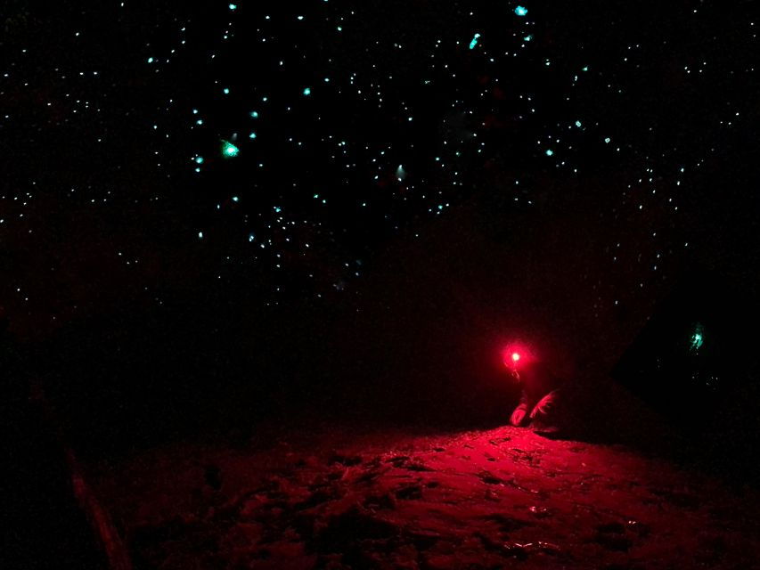 Sydney: Blue Mountains Glow Worms Wild Adventure by Night