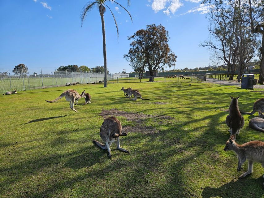Sydney Port Stephens