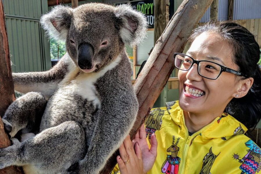 Sydney: Private Wildlife, Waterfalls and Wine Tour