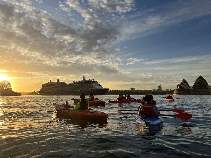 Sydney: Sunrise Kayak Tour on Sydney Harbour - Good To Know