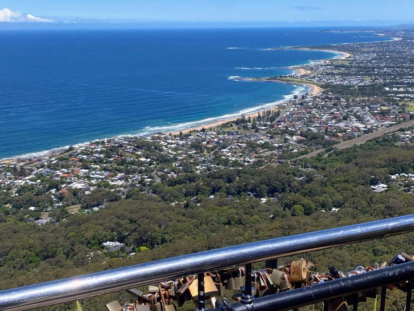 Sydney: Wild Wombats and Kangaroo Experience