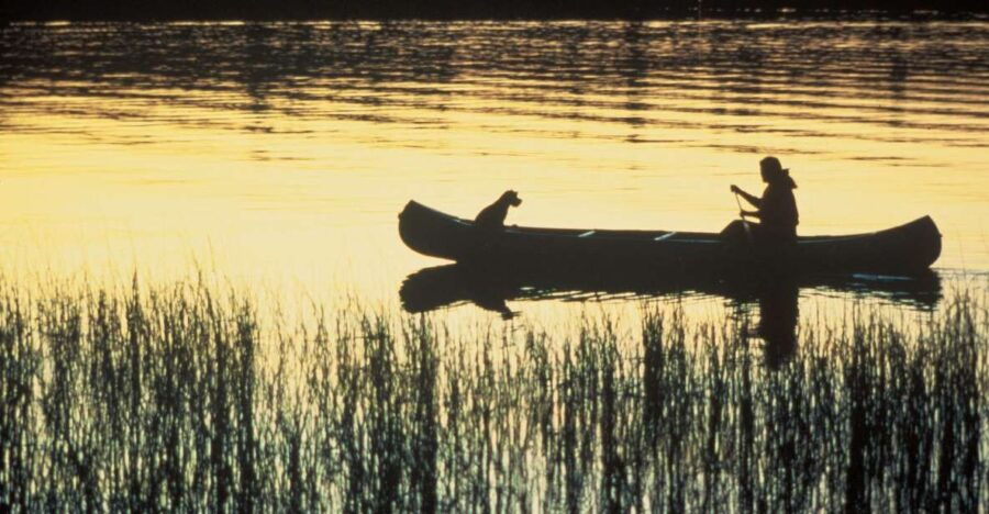 Syracuse: Ciane River Nature Reserve Guided Canoe Ride - Good To Know