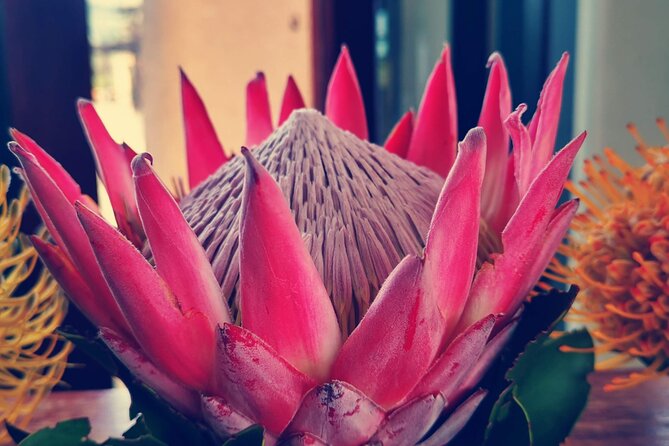 Table Mountain, Bokaap and Robben Island Tour Combo - Good To Know