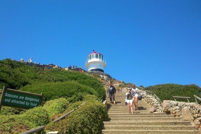 Table Mountain Boulders Beach and Cape Point - Good To Know
