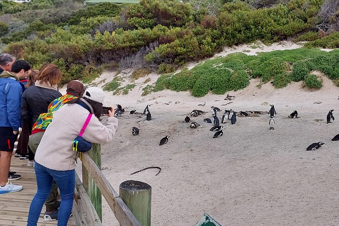 Table Mountain & Cape of Good Hope With Photographs - Good To Know