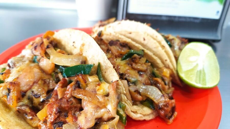 Taco Tour on Wheels