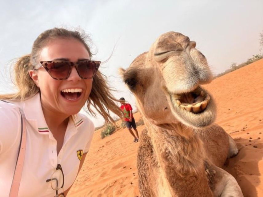 Taghazout: Sunset Beach Camel Ride With Hotel Transfers