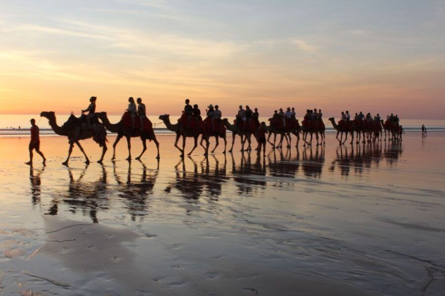 Taghazout: Sunset Camel Ride - Good To Know