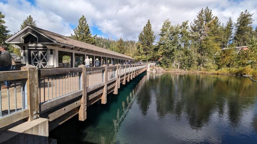 Tahoe City Scavenger Hunt Walking Tour & Game - Tour Overview