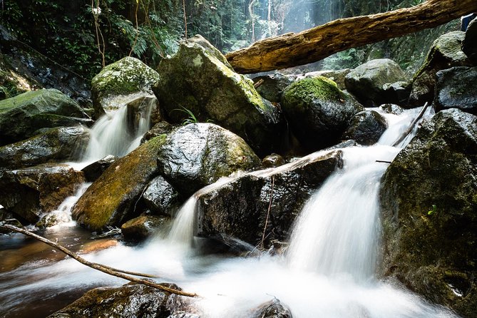 Tai Mo Shan Waterfall Adventure Hike - Good To Know