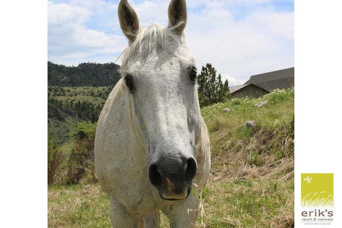 Tail Creek, MT, Rustic Barn and Horse-riding, Small-Group Tour (Feb )