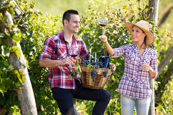 Tailor Made Stellenbosch & Franschhoek Winelands Full Day Tour.