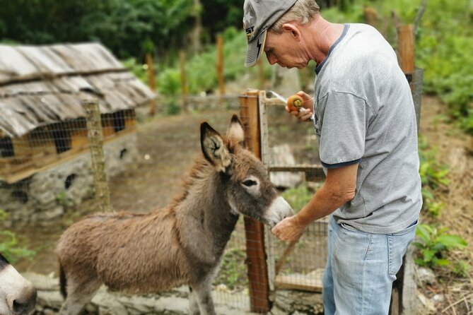 Taino Valley Tropical Park Puerto Plata Tubagua - Pricing and Booking Information