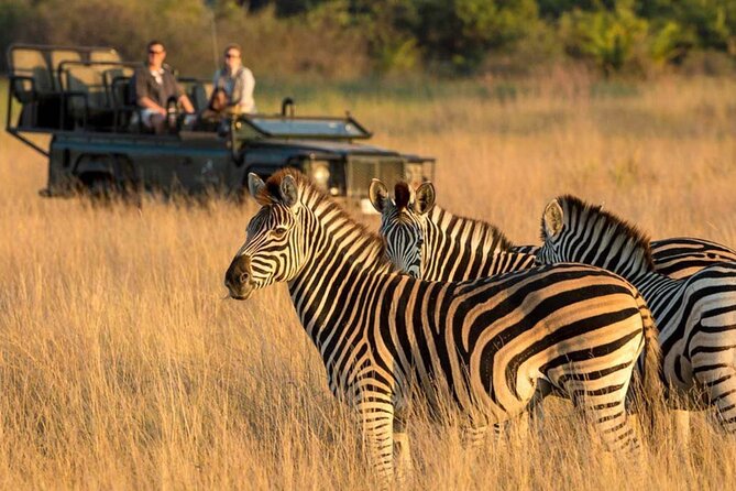 Tala Game Reserve, Phezulu Safari & Natal Lion Park Full Day Tour From Durban