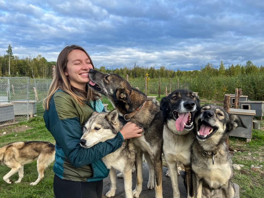 Talkeetna: Summer Sled Dog Kennel Tour - Good To Know