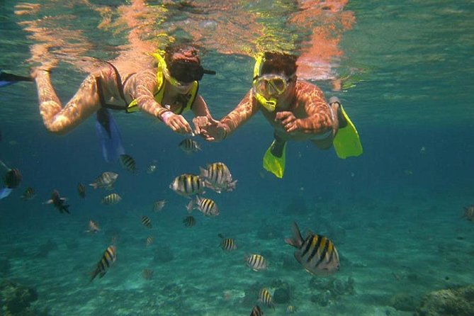 Tamarindo Kayaking Tour With Snorkeling at Captain Island - Good To Know