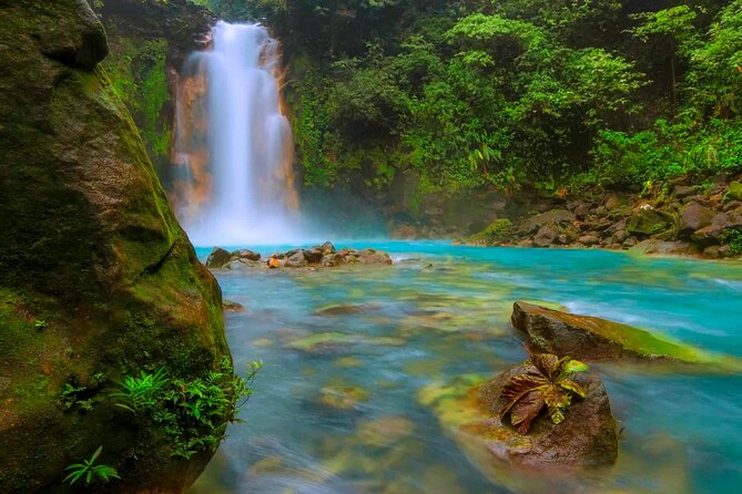 Tamarindo Rio Celeste Tubing, Rainforest, and More Tour