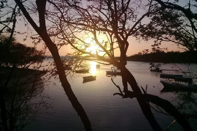 Tamarindo River Boat Tour