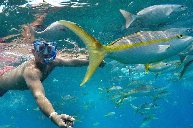Tamarindo Sunset Cruise With Snorkeling, Open Bar, Transfers - Playa Flamingo