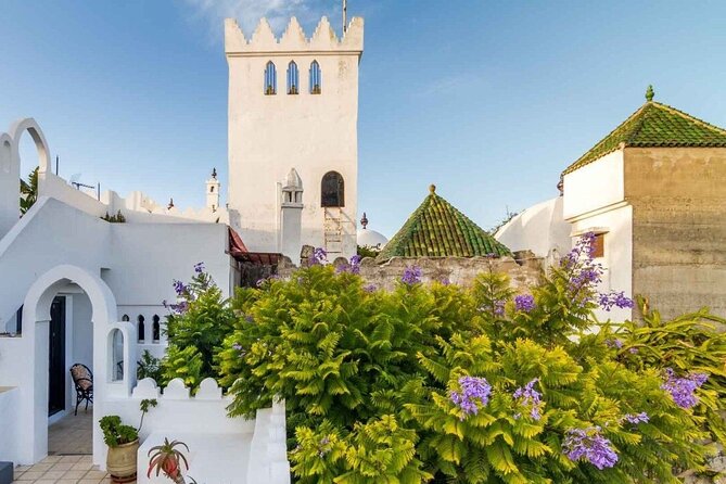 Tangier Trek: 3 Hours Exploring the Medina and Kasbah - Good To Know