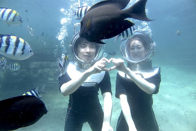 Tanjung Benoa Seawalker Tour (Feb )