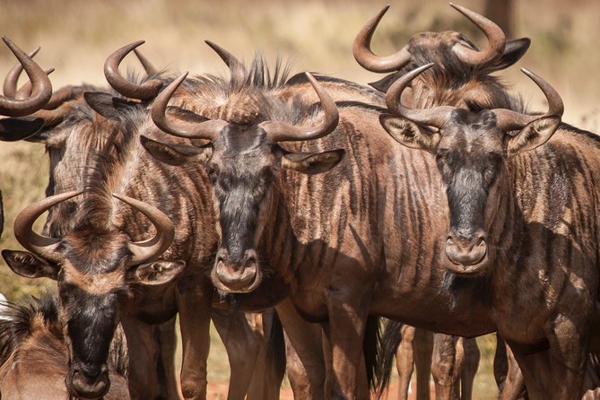 Tanzania Safari 1- Day – ARUSHA NATIONAL PARK VISIT