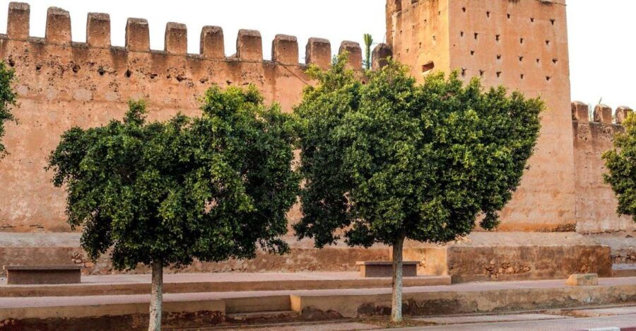 Taroudant and Tiout Oasis Trip With Lunch - Good To Know