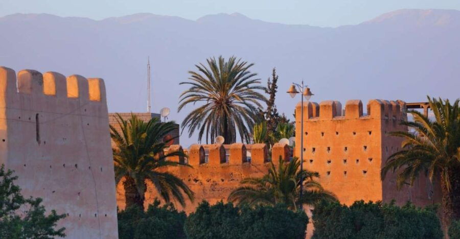 Taroudant and Tiout Oasis Trip With Lunch