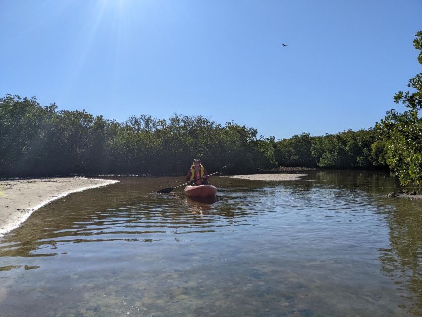 Tarpon Springs: Guided Anclote River Kayaking Tour