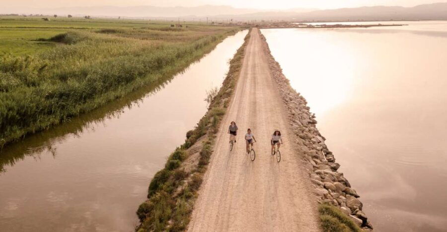 Tarragona: Bike Tour to The Fishing Heart of The Ebro Delta - Good To Know
