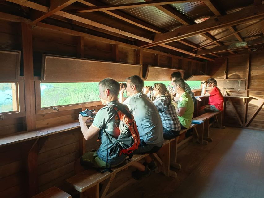 Tarragona: Southern Delta Birdwatching Private Tour - Good To Know