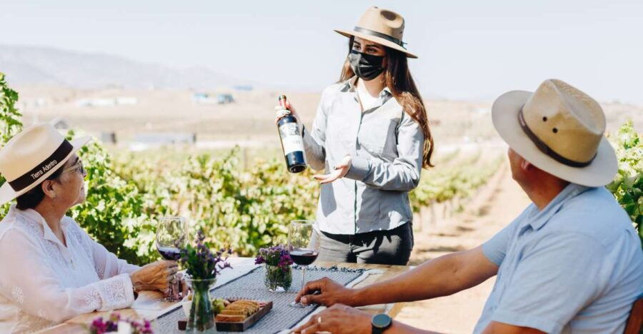 Tasting and Tour Through the Vineyard