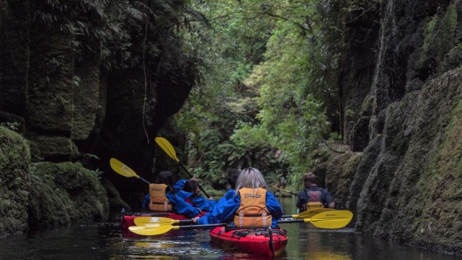 Tauranga: Scenic Lake Mclaren Kayak Tour