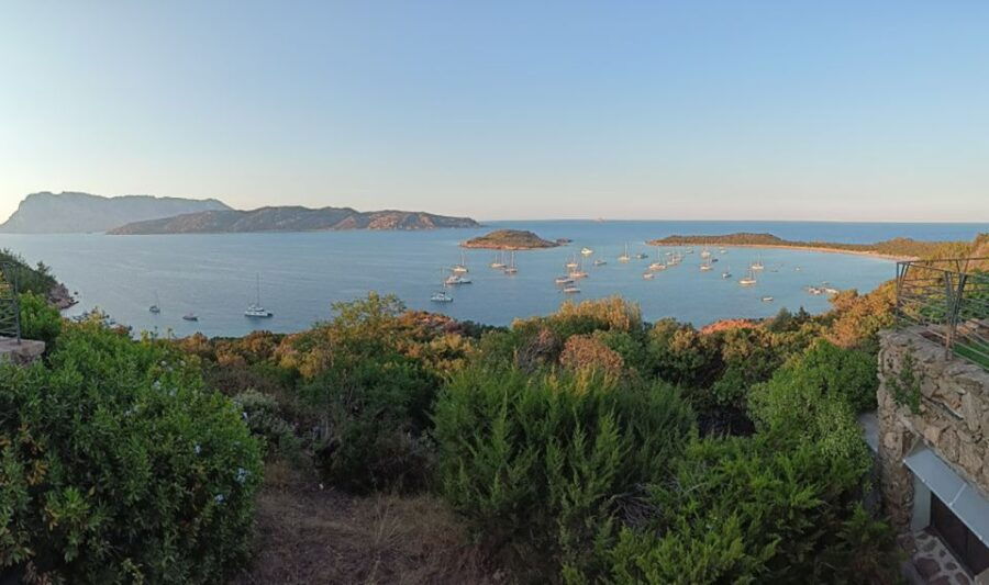 Tavolara: Mini Tour of Archipelago From San Teodoro