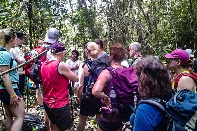 Tayrona Park – Kogui Village, Medicinal Plants and Beaches
