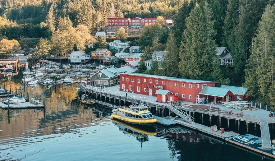 3 Best Canoe And Kayak Experiences In Telegraph Cove