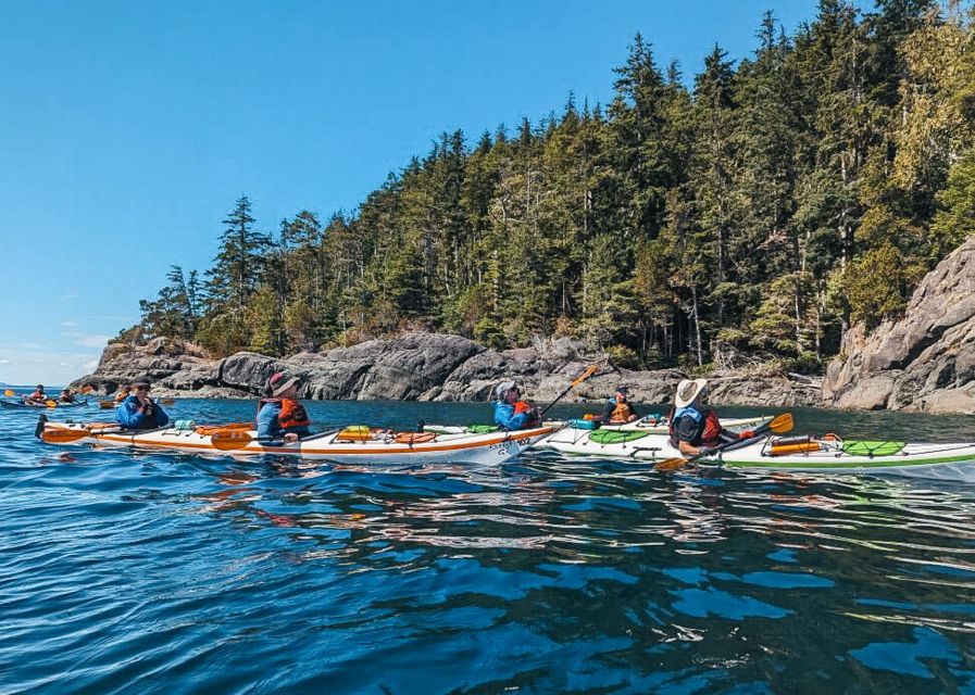 Telegraph Cove: Day Trip Kayaking Tour