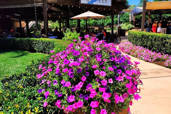 Temecula Wine Tour From Los Angeles