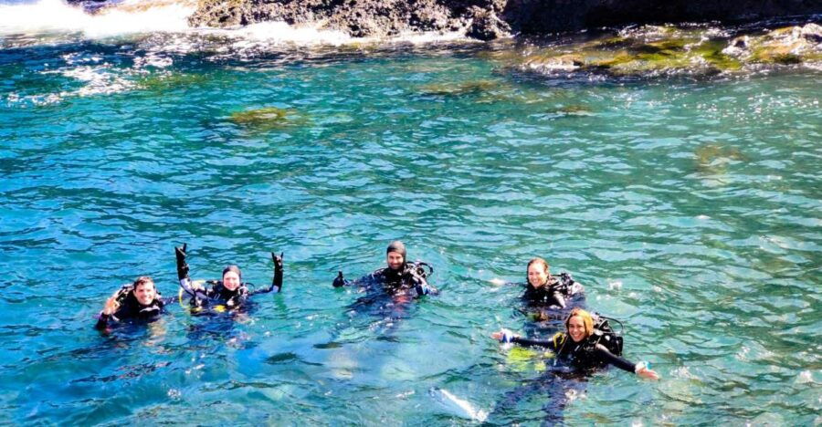 Tenerife: 2-Dive Private Scuba Discovery Course
