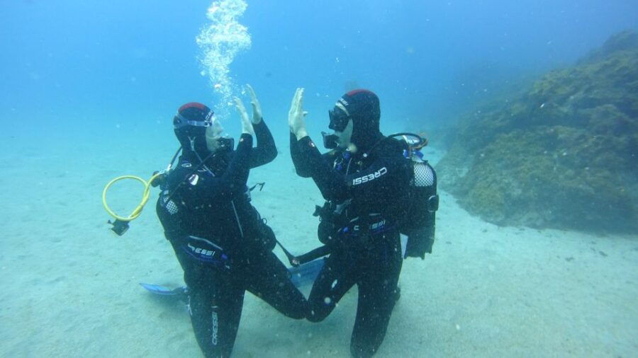 Tenerife: Discover Scuba Diving With Free Photos