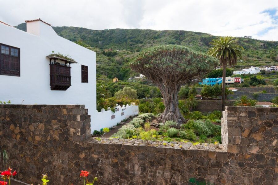 Tenerife: Full-Day Guided Island Tour