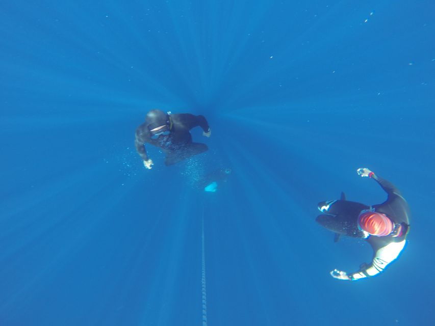 Tenerife: Full-Day of Discovering Freediving