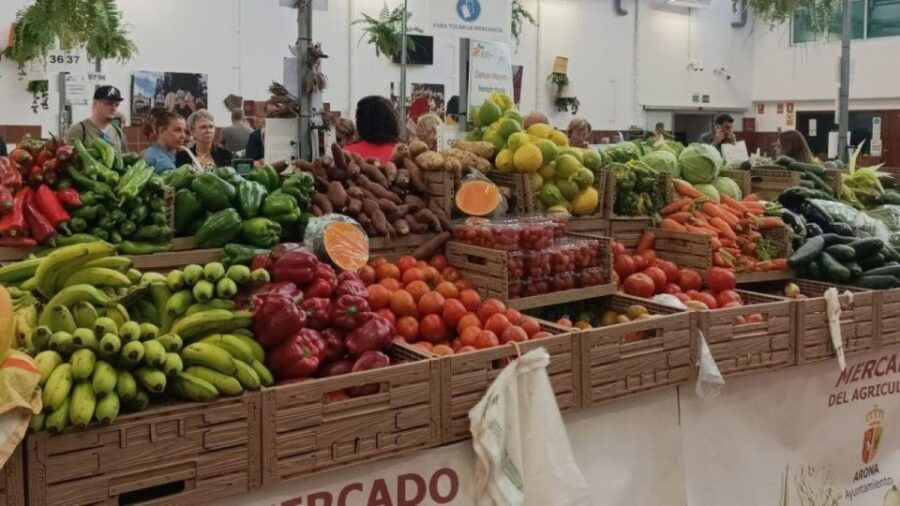 Tenerife: Gastro Wine South Experience