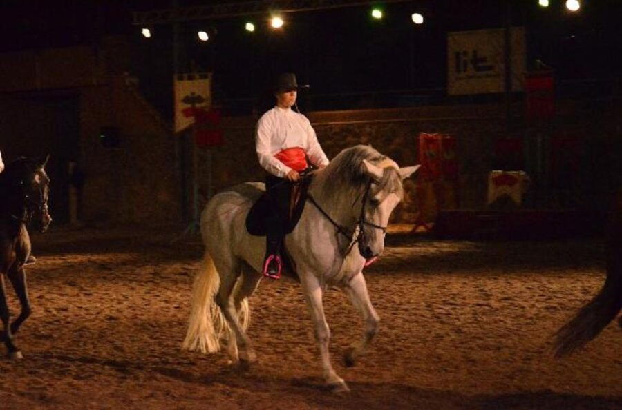 Tenerife : Horse Show Entry Ticket With Optional Dinner - Good To Know