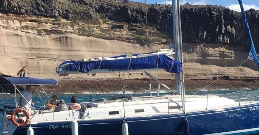 Tenerife: Luxury Private Whale & Dolphin Watching Tour
