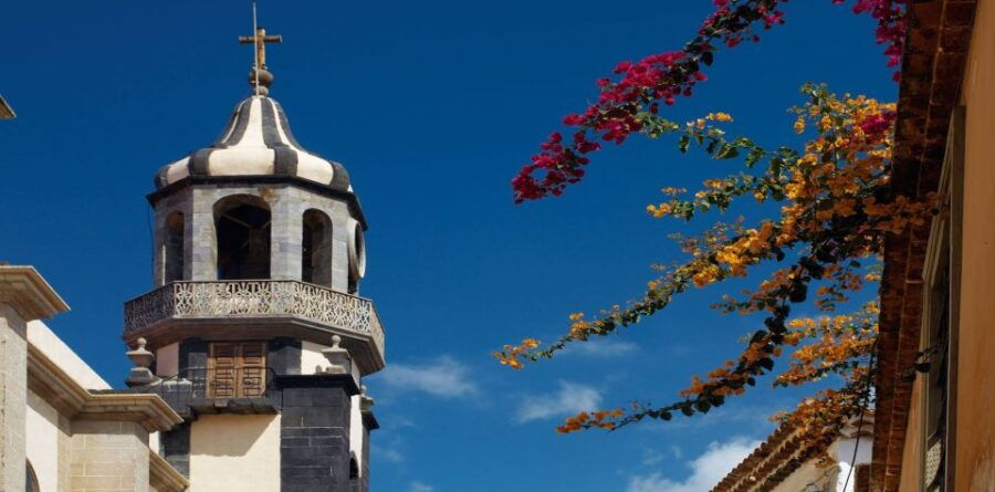 Tenerife Private Tour: Full-Day Historic North - Good To Know