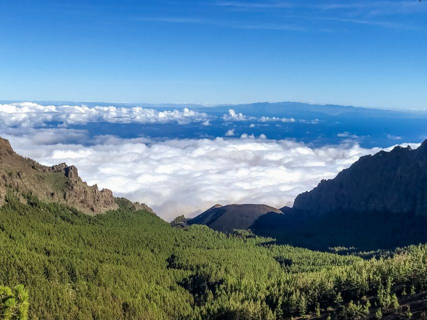 Tenerife Private Tour: Teide and Flavors of The North - Good To Know