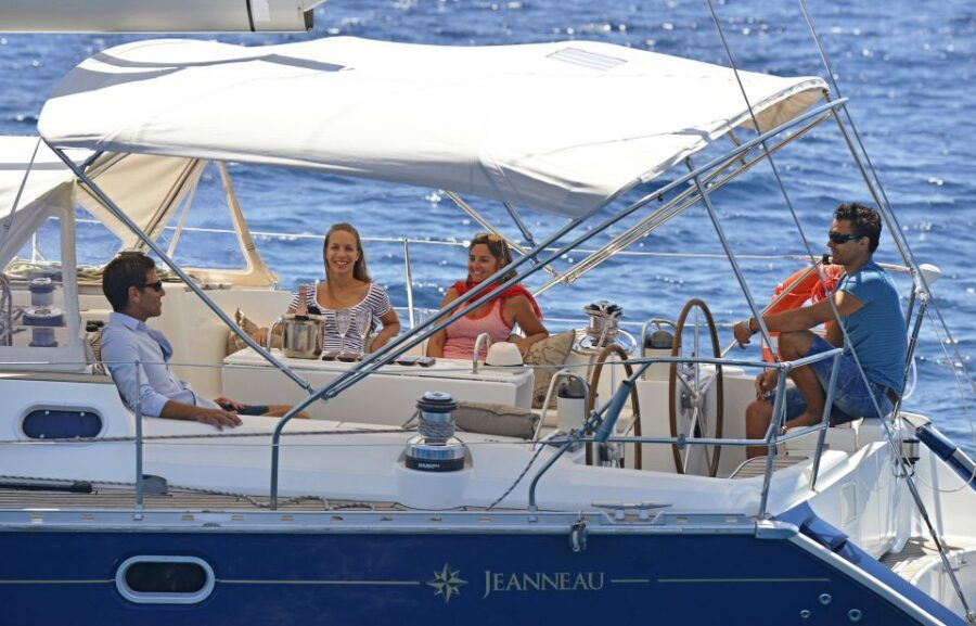 Tenerife: Sailing Excursion With Whale and Dolphin Watching