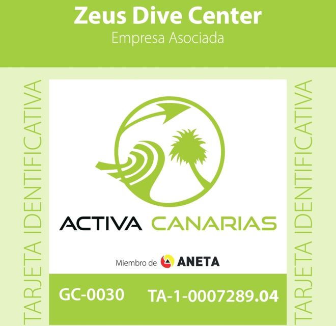 Tenerife Scuba Diving for Certified Divers