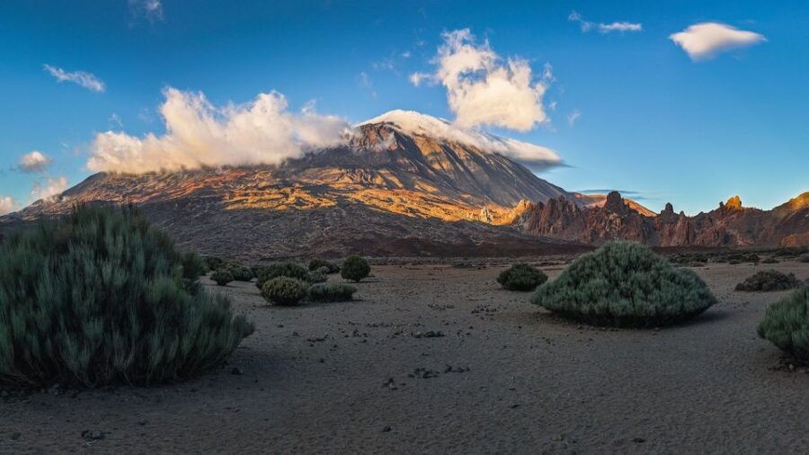 Tenerife: Teide National Park and Dolphins Sailboat Tour